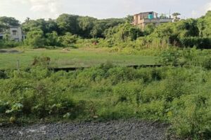 Auctions and Land Reclamation