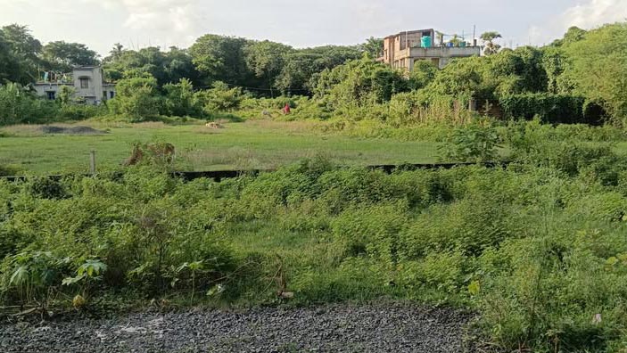 Auctions and Land Reclamation